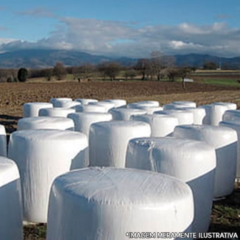 Empresa de Saco de Silagem 200 Micra Calafate - Saco de Silagem 200 Micra