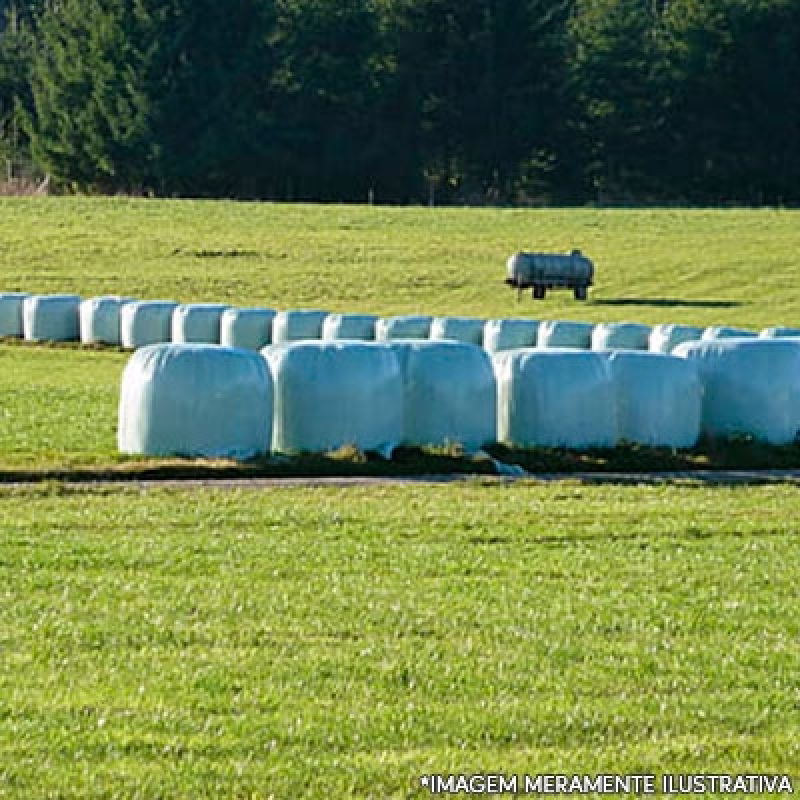 Qual o Preço de Saco Plástico para Silagem São Bernardo do Campo - Saco Silagem