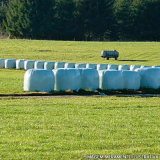 qual o preço de saco para ensacar silagem São Bernardo do Campo